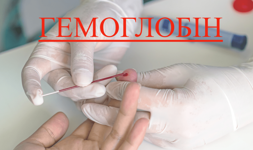 Гемоглобін та його роль в організмі людини